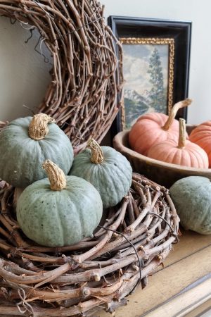 Kürbis Zierkürbis blau grau Herbstdeko Dekoidee im Mrs Greenery Shop bestellen kaufen