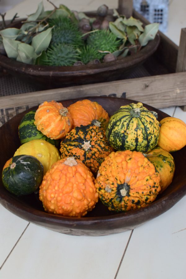 Herbstdeko mit Kürbissen. Der Klassiker der Herbstdeko. Jetzt bestellen! Kürbis Mix vom Mrs Greenery Shop
