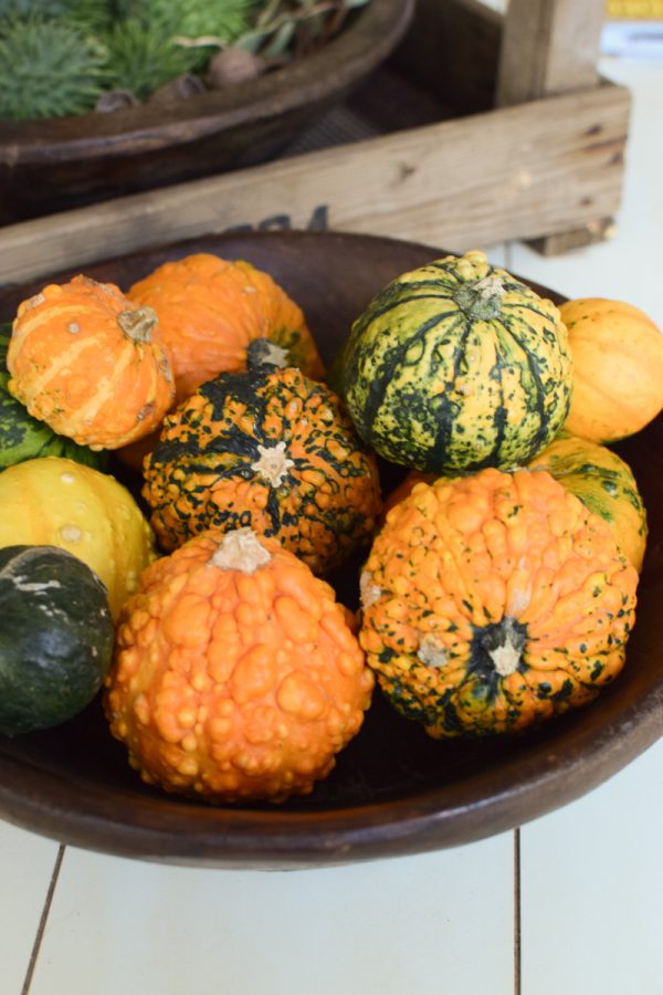 Herbstdeko mit Kürbissen. Der Klassiker der Herbstdeko. Jetzt bestellen! Kürbis Mix vom Mrs Greenery Shop