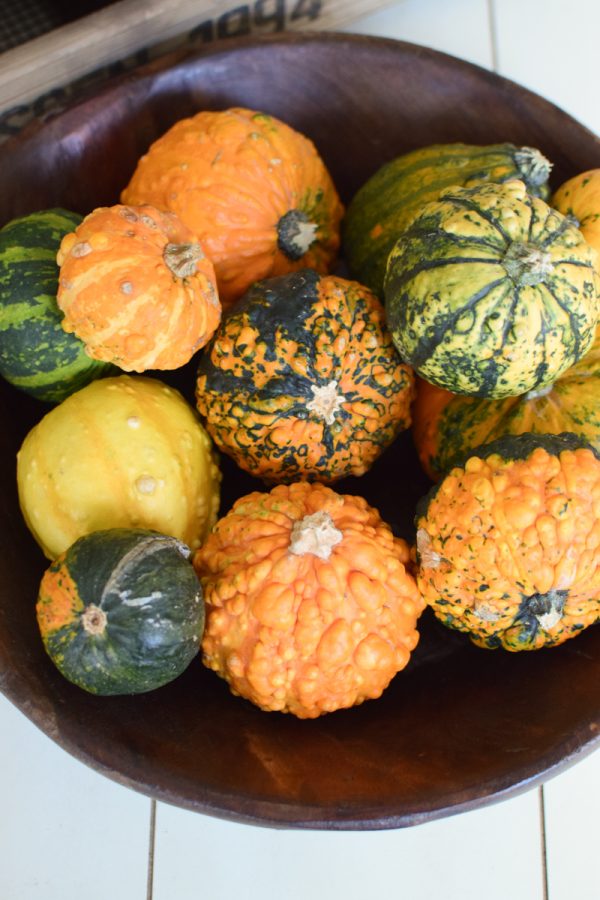 Herbstdeko mit Kürbissen. Der Klassiker der Herbstdeko. Jetzt bestellen! Kürbis Mix vom Mrs Greenery Shop