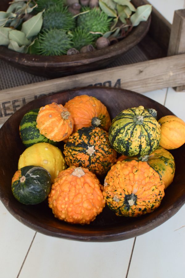 Herbstdeko mit Kürbissen. Der Klassiker der Herbstdeko. Jetzt bestellen! Kürbis Mix vom Mrs Greenery Shop