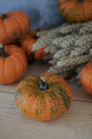 Herbstdeko mit orangen Kürbissen. Der Klassiker der Herbstdeko. Jetzt bestellen! Kürbis