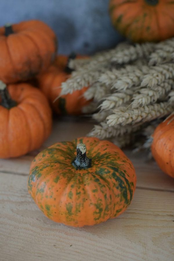 Herbstdeko mit orangen Kürbissen. Der Klassiker der Herbstdeko. Jetzt bestellen! Kürbis