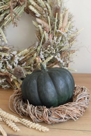 Herbstdeko mit dunkeln Kürbissen. Die besonder Herbstdeko. Jetzt bestellen! Kürbis