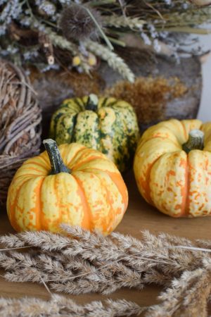 Herbstdeko mit orangen Kürbissen. Der Klassiker der Herbstdeko. Jetzt bestellen! Kürbis