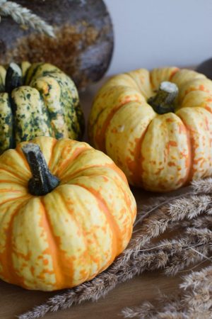 Herbstdeko mit orangen Kürbissen. Der Klassiker der Herbstdeko. Jetzt bestellen! Kürbis