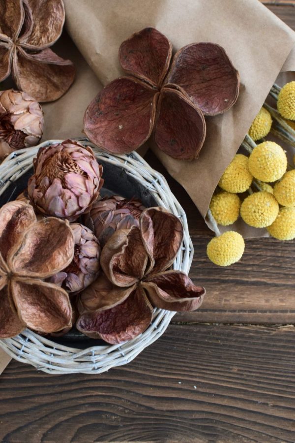Landlotus getrocknet eignet sich hervorragend für deine Naturdekoidee. Die Blüten des Landlotus sind tolle Trockenblumen. Deko Deko mit Naturmaterialien
