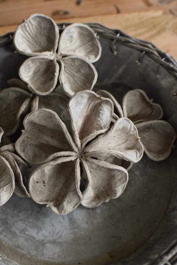 Landlotus getrocknet eignet sich hervorragend für deine Naturdekoidee. Die Blüten des Landlotus sind tolle Trockenblumen. Deko Deko mit Naturmaterialien