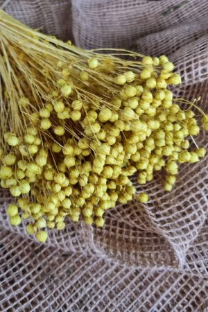 leinen gelb getrocknet gefärbt Trockenblumen im Mrs Greenery Shop bestellen kaufen kreativsein basteln