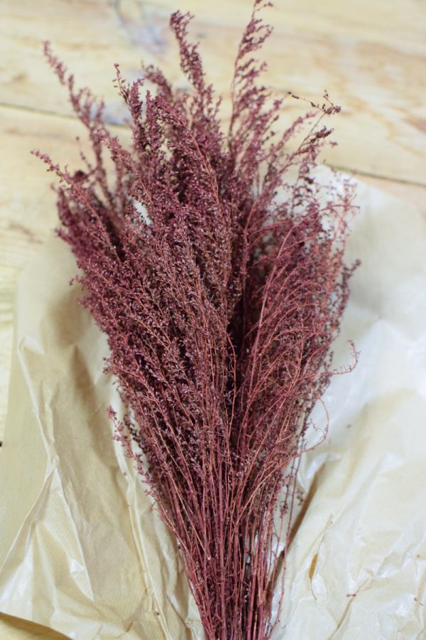 Trockenblumen Lepidium rot Kreativsein Kranzbinden kreativ im Mrs Greenery Shop bestellen