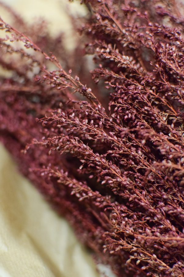 Trockenblumen Lepidium rot Kreativsein Kranzbinden kreativ im Mrs Greenery Shop bestellen