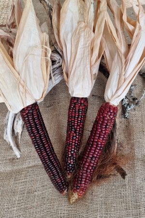 Mais gelb rot getrocknet Herbstdeko Naturdeko herbstlich dekorieren im Mrs Greenery Shop bestellen kaufen