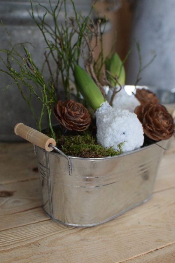Dein perfekter Begleiter für alle Pflanzen: die Metall-Schale eignet sich perfekt für den Garten, Terrasse, Balkon, aber auch für Zuhause. Dekoidee Blumendeko Topf Übertopf aus Metall VintageBegleiter für alle Pflanzen: der Metall-Übertopf eignet sich perfekt für den Garten, Terrasse, Balkon, aber auch für Zuhause. Dekoidee Blumendeko Topf Schale Übertopf aus Metall