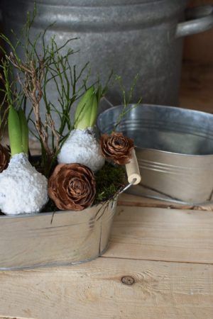 Dein perfekter Begleiter für alle Pflanzen: die Metall-Schale eignet sich perfekt für den Garten, Terrasse, Balkon, aber auch für Zuhause. Dekoidee Blumendeko Topf Übertopf aus Metall VintageBegleiter für alle Pflanzen: der Metall-Übertopf eignet sich perfekt für den Garten, Terrasse, Balkon, aber auch für Zuhause. Dekoidee Blumendeko Topf Schale Übertopf aus Metall