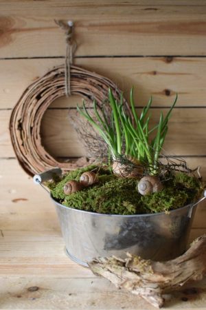 Metallschale für deine Naturdeko. Natürlich dekorieren Dekoidee Schale