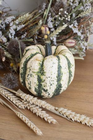 Herbstdeko mit weiss gürnen Kürbissen. Der Klassiker der Herbstdeko. Jetzt besellen! Kürbis