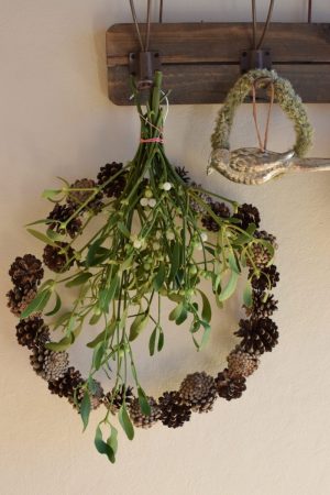 Mistelzweig für deine Winterdeko Weihnachtsdeko Mistel Mistel Bund