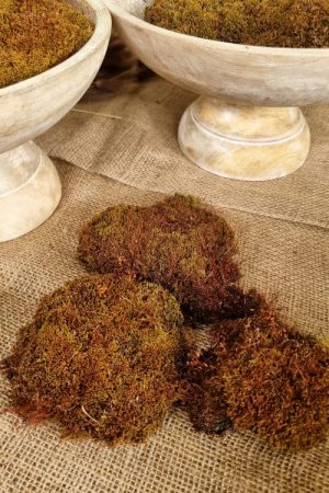 Moos getrocknet Bollenmoos braun naturdeko Moos im Mrs Greenery Shop bestellen kaufen