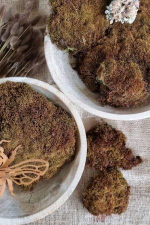 Moos getrocknet Bollenmoos braun naturdeko Moos im Mrs Greenery Shop bestellen kaufen