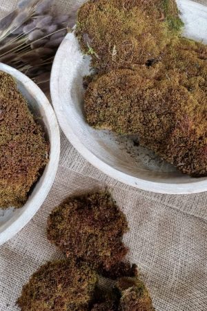 Moos getrocknet Bollenmoos braun naturdeko Moos im Mrs Greenery Shop bestellen kaufen