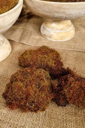 Moos getrocknet Bollenmoos braun naturdeko Moos im Mrs Greenery Shop bestellen kaufen