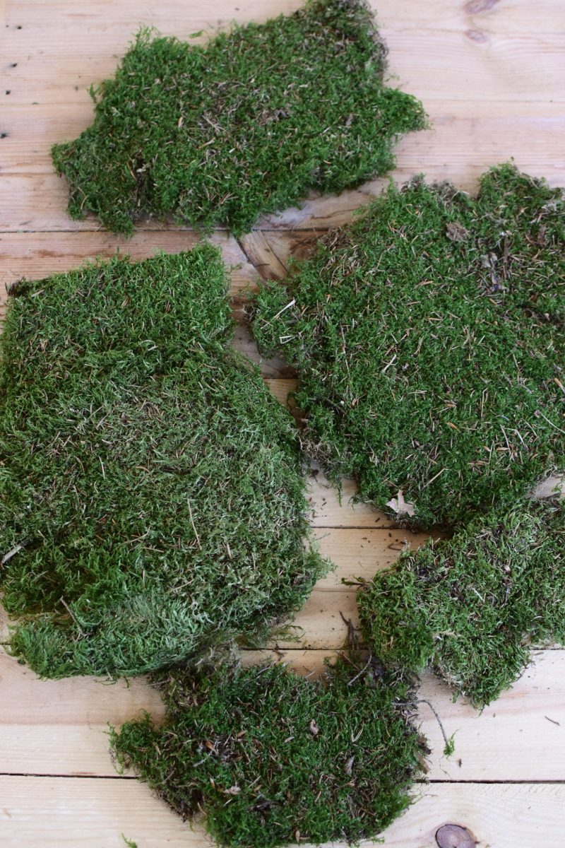 Moos getrocknet kaufen zum basteln und dekorieren für deine Naturdeko Kreationen. Waldmoos Moosdeko