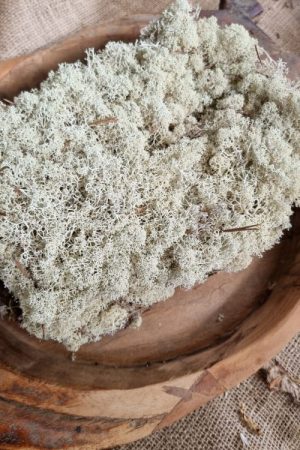 Island Irisch Moos frisch getrocknet kreativsein basteln naturmaterial im Mrs Greenery Shop bestellen kaufen