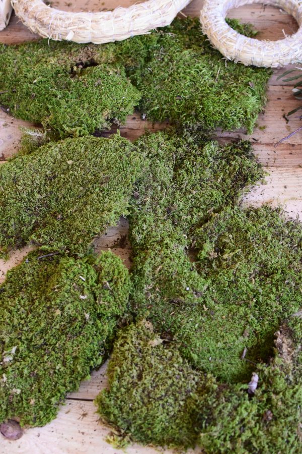 Moos getrocknet kaufen basteln französisches Moos Moosdeko