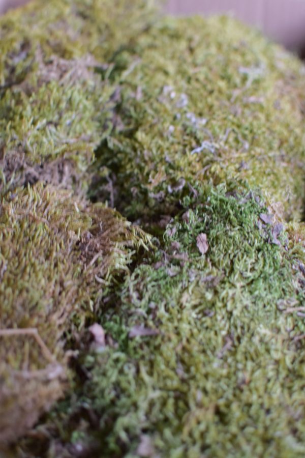 Moos zweite Wahl getrocknet im Mrs Greenery Shop bestellen Naturdeko Deko mit Naturmaterialien