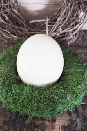 Mooskranz grün gefärbt Kranz Kränze fertig gebunden 30 cm. Im Mrs Greenery Shop bestellen