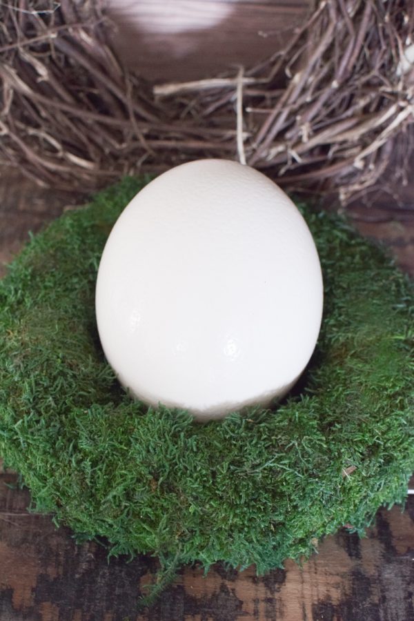Mooskranz grün gefärbt Kranz Kränze fertig gebunden 30 cm. Im Mrs Greenery Shop bestellen