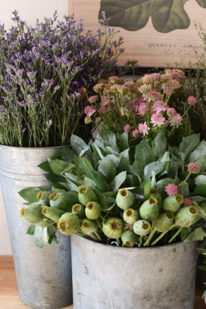 Frisches Greenery aus dem Mrs Greenery Shop: Mohnkapsel, Strandflieder, Thymian, Eukalyptus. Zum Kranzbinden und Kreativsein mit Naturmaterialien