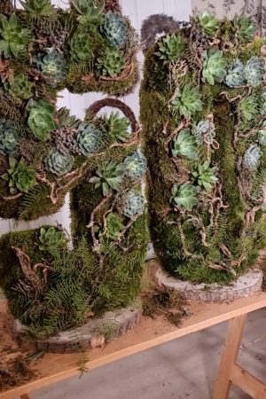 Sukkulente Mini Hauswurz ohne Wurzel kreativ kreativsein zum stecken Kränze kreativsein Naturdeko Naturmaterial im Mrs Greenery Shop bestellen kaufen