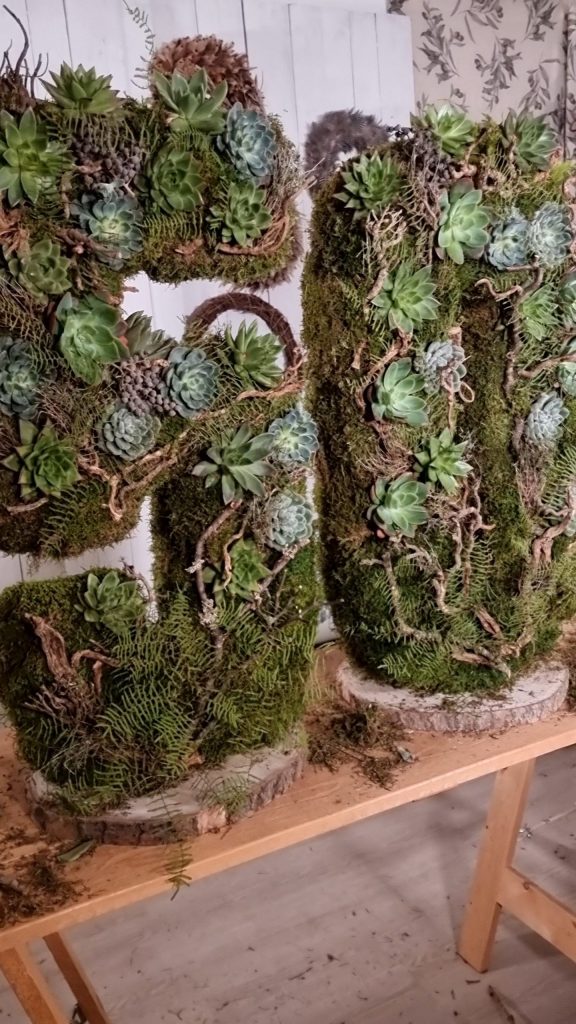 Sukkulente Mini Hauswurz ohne Wurzel kreativ kreativsein zum stecken Kränze kreativsein Naturdeko Naturmaterial im Mrs Greenery Shop bestellen kaufen