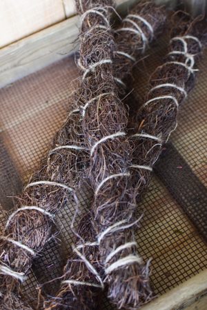 Mühlenbeckia getrocknet fein zum Kreativsein und basteln im Mrs Greenery Shop bestellen