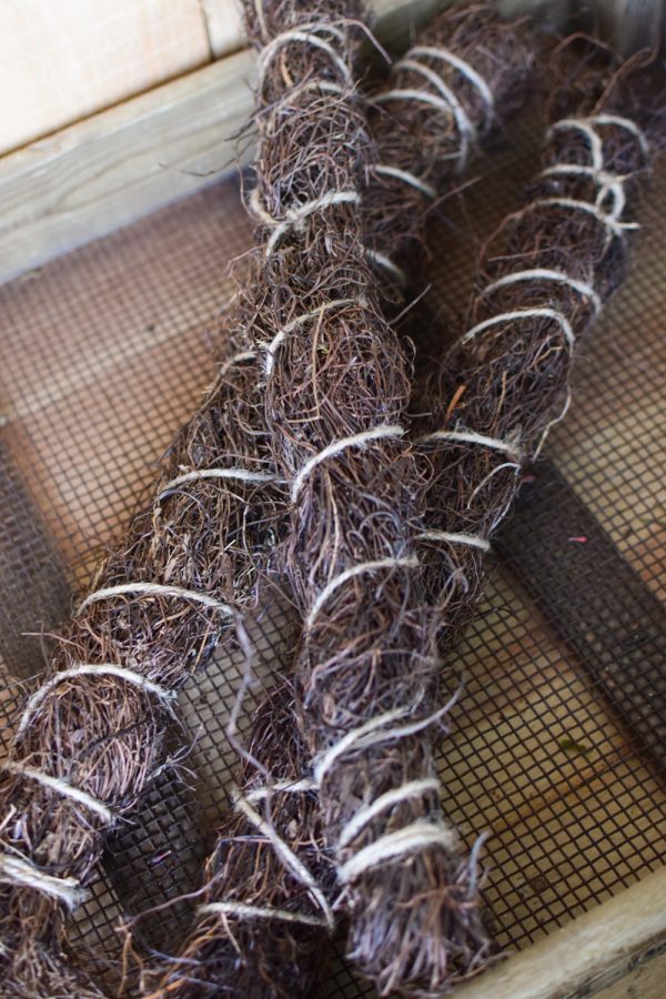 Mühlenbeckia getrocknet fein zum Kreativsein und basteln im Mrs Greenery Shop bestellen