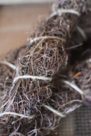 Mühlenbeckia getrocknet fein zum Kreativsein und basteln im Mrs Greenery Shop bestellen