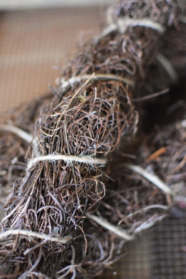 Mühlenbeckia getrocknet fein zum Kreativsein und basteln im Mrs Greenery Shop bestellen