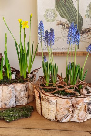 Dekoidee mit Frühlingsblühern Narzissen und Muscari in der Schale. Frühlingsdeko Dekoidee im Mrs Greenery Shop bestellen