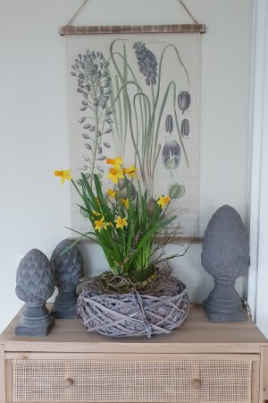 Dekoidee mit Frühlingsblühern Narzissen und Muscari in der Schale. Frühlingsdeko Dekoidee im Mrs Greenery Shop bestellen