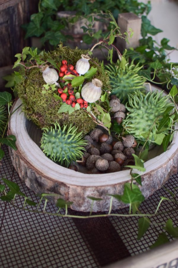 Naturdeko Herbstdeko herbstlich dekorieren Holzschale Schale mit Rinde Mrs Greenery Shop bestellen Cucumis Eicheln