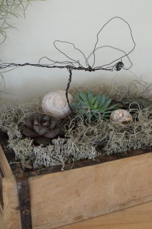 Naturdeko mit Sukkulenten und Tillandsien. Naturdeko einfach selbermachen mit Ziegelform. Kreativsein DIY selbermachen