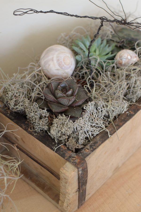 Naturdeko mit Sukkulenten und Tillandsien. Naturdeko einfach selbermachen mit Ziegelform. Kreativsein DIY selbermachen