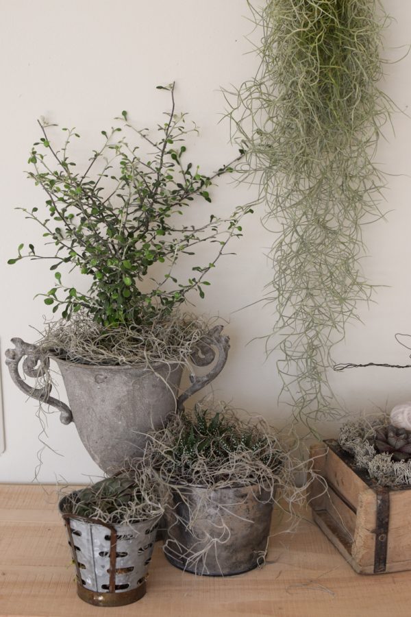 Naturdeko mit Sukkulenten und Tillandsien. Naturdeko einfach selbermachen mit Ziegelform. Kreativsein DIY selbermachen
