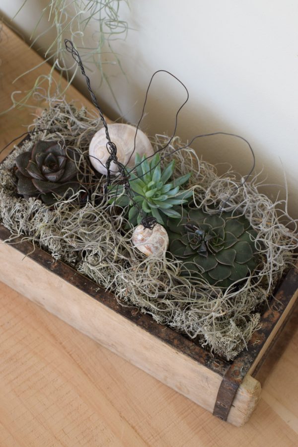 Naturdeko mit Sukkulenten und Tillandsien. Naturdeko einfach selbermachen mit Ziegelform. Kreativsein DIY selbermachen