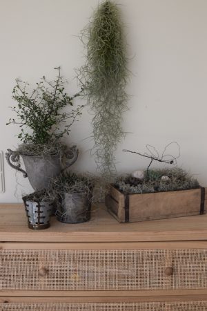 Naturdeko mit Sukkulenten und Tillandsien. Naturdeko einfach selbermachen mit Ziegelform. Kreativsein DIY selbermachen
