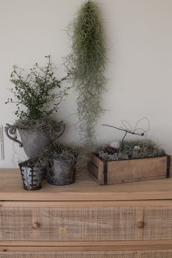 Naturdeko mit Sukkulenten und Tillandsien. Naturdeko einfach selbermachen mit Ziegelform. Kreativsein DIY selbermachen