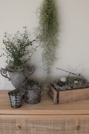 Naturdeko mit Sukkulenten und Tillandsien. Naturdeko einfach selbermachen mit Ziegelform. Kreativsein DIY selbermachen
