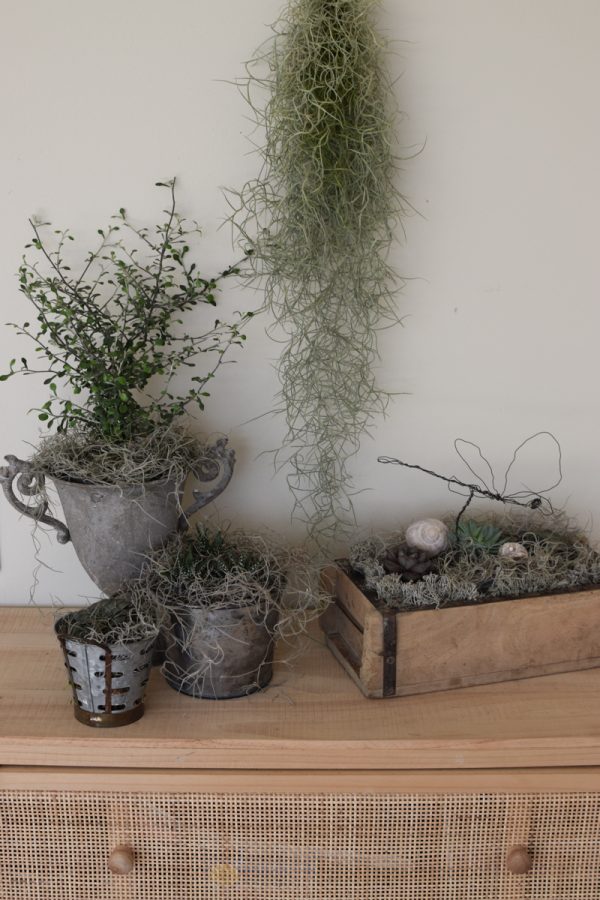 Naturdeko mit Sukkulenten und Tillandsien. Naturdeko einfach selbermachen mit Ziegelform. Kreativsein DIY selbermachen