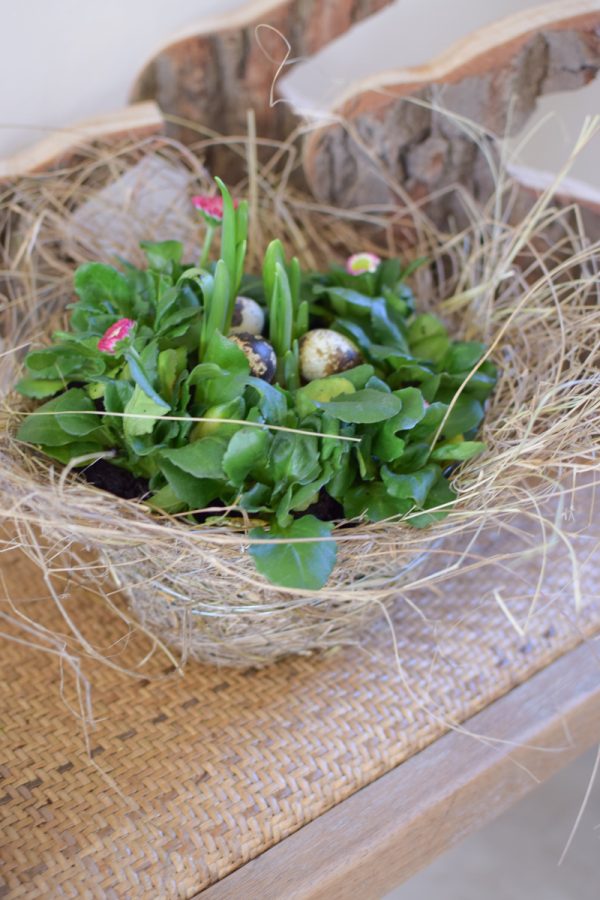 Übertopf natur. Deko Dekoidee mit Naturmaterialien. Naturtopf Übertopf im Mrs Greenery Shop bestellen kaufen